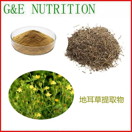 100 г чистого натурального экстракта травы для ушей 10: 1 Концентрированный порошок.