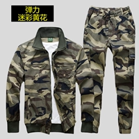 Желтый цветочный эластичный набор [модель пружины и осень толстой]]