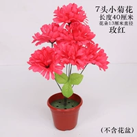 Маленькие хризантемы положили розовую красную (2 ветви)