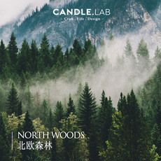 Свеча candle.lab | 北欧森林diy香薰石膏蜡烛扩香材料香薰精油