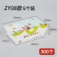 ZY08 6 установлен 300