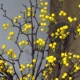 Желтый фруктовый цветок 1 ветвь