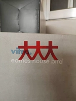 Spot Real Shot в Швейцарии Vitra Eames House House Bird Bird Black Bird Decoration