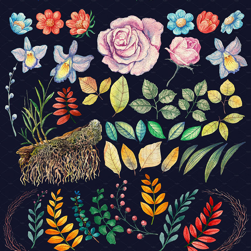 鸽子鲜花叶子花朵花卉植物手绘水彩剪贴插画无缝图案PNG免扣素材