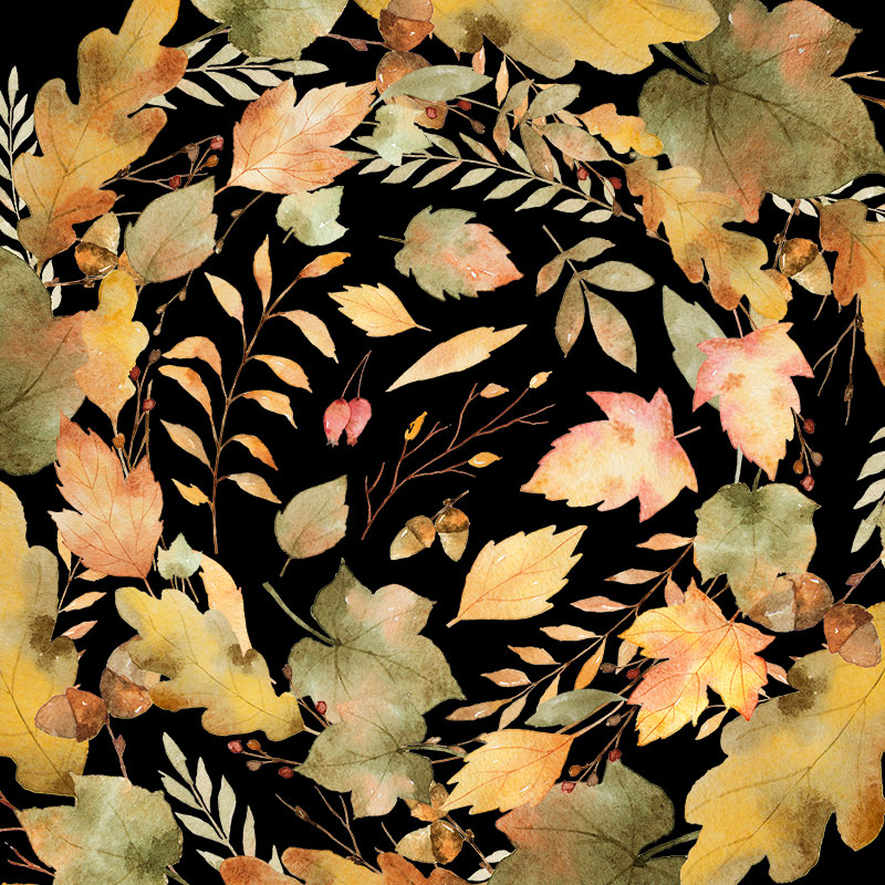 秋天秋季元素花纹图案手绘水彩剪贴插画插图PNG免扣设计装饰素材