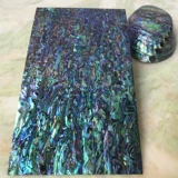 Новозеландская синяя пурпурная раковина раковина бумага.