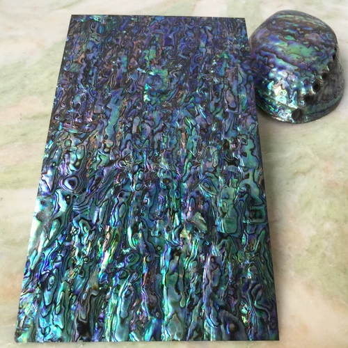 Новозеландская синяя пурпурная раковина раковина бумага.