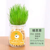 Бутылка, маленький горшок