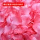 Taohong Gradient 10 упаковок