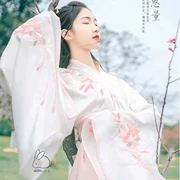 Váy cổ tích tay dài hàng ngày Bianhua Hanfu nữ sinh viên phong cách Trung Quốc váy trang phục cổ tích tươi tắn và thanh lịch - Quần áo ngoài trời