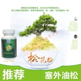 Подлинная заглушка -в листе соснового листа сломана на стене масла пыльца пыльца Высококачественное северо -восточная сосна пыльца 300 сосновая порошок заправка