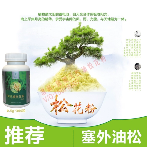 Подлинная заглушка -в листе соснового листа сломана на стене масла пыльца пыльца Высококачественное северо -восточная сосна пыльца 300 сосновая порошок заправка