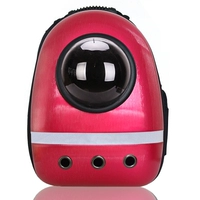 Отражающая тетя Красная