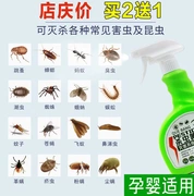 Các loại thuốc xịt trong nhà để loại bỏ mạt diệt ve - Thuốc diệt côn trùng