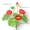 Vải giả hoa sen nhân tạo hoa nhựa hoa lily nước hoa sen hồ cảnh trang trí rãnh cắm hoa - Hoa nhân tạo / Cây / Trái cây