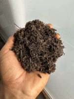 Юньнан Шеншан Гнитная Черная Сосновая Игла 1 кг