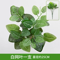 Белая сетка