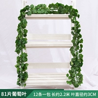 81 листья листья винограда 1 упаковка [12 штук]