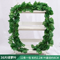 36 листьев зеленых листьев разливов 1 упаковка [12 штук]