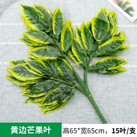 Желтые ветви манго 1