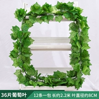 36 листьев листья винограда 1 упаковка [12 штук]