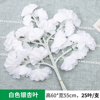 1 белая ветвь Гинкго