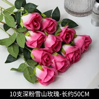 10 темно-розовых снежных горных роз