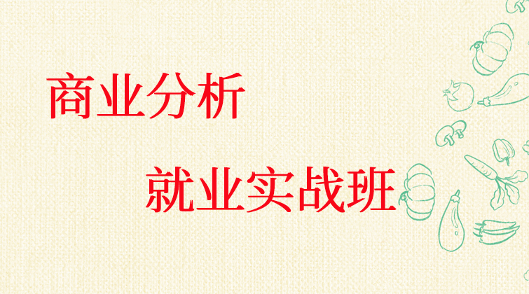 商业分析就业实战班