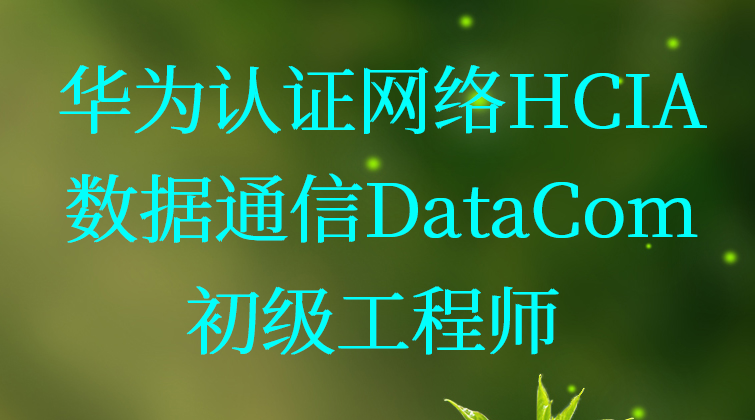 华为认证网络HCIA初级工程师/数据通信DataCom