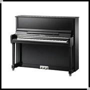 Tô Châu thương hiệu cho thuê đàn piano mới cho thuê cửa hàng đàn piano Pearl River P series P3 - dương cầm