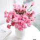 15 розовый розовый+бесплатный 3 (потеря)