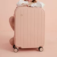 917 Обычная модель порошка Gogwood