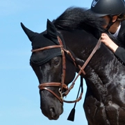 Ngựa nước Lema dây da tinh khiết ngựa reins ngựa snaffle reins miệng cưỡi ngựa thể thao cạnh tranh phù hợp với nước