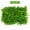 Mô phỏng nhà máy tường cây xanh tường cỏ trong nhà trang trí tường cỏ xanh nhựa giả hoa hình nền tường - Hoa nhân tạo / Cây / Trái cây hoa tulip giả