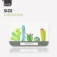 Diatom Soap Soap- [cactus]