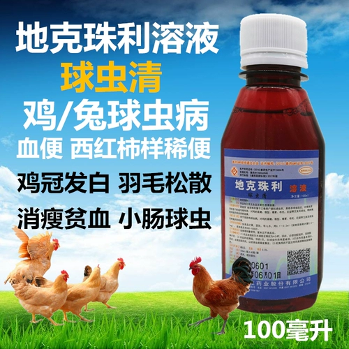 Ди -кужхули раствор кролик курица, птичий мяч, кровь, диарея крови