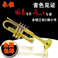 永恒 Yongheng Small Instrument C Регулировка тройной тройной тройной оркест