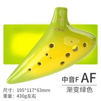 12 -отверстие AF Middle Sound F [Замечания цвета]
