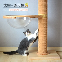 Творческая космическая чаша кошка Тяншу кошка поднимается на мечи, кошачьи и заклинатели смотрят кошка кошка кошка кошка кошка