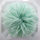 Aqua Green