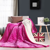 Mùa thu và mùa đông dày beibei xuống chăn tổng hợp ba lớp dày chần giải trí chăn đơn lớp flannel chăn mùa đông chăn