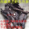 Товары от jianghonghong8888