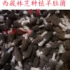 Товары от jianghonghong8888