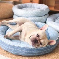 Хвост иностранной торговли одиночная японская охлаждающая собака Подушка освежает маленькую и среднюю собаку Метод спальной подушки