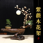 Ziweimu gốc khắc đèn đứng mô phỏng mận trang trí tự nhiên cây cảnh hoa đứng trang trí nhà - Các món ăn khao khát gốc