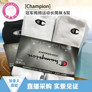 Canada thư trực tiếp Champion Champion cotton vớ vớ thể thao terry vớ ẩm ướt ống dài