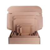 Синь Шенгбай более чем 100 миллионов гофрированных самолетов.