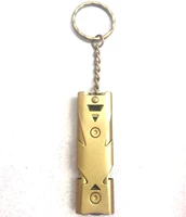 Модель из нержавеющей стали (золотая)