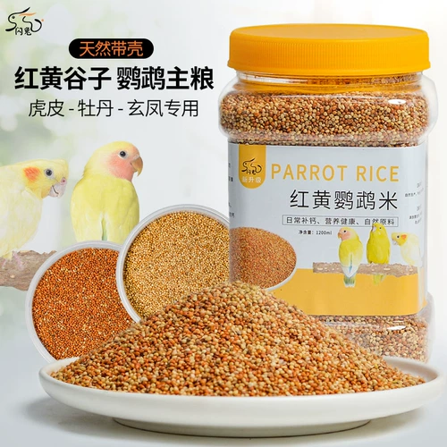 Tiger Parrot Feed Bird Food Peony Mudan Peony Food Bird Birds Bird