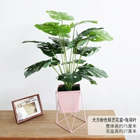 Отличный розовый горшок с железом+лист черепахи